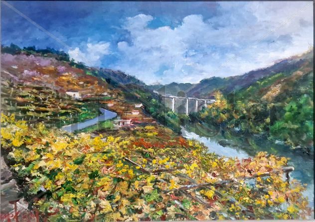 REFEJOS EN LA RIBEIRA SACRA
