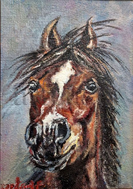 Horse.