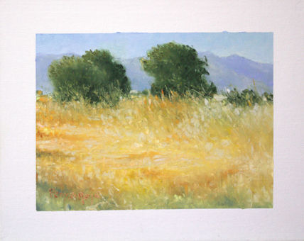 Paisaje del entorno...