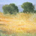 Paisaje del entorno de Moncofa — frontal