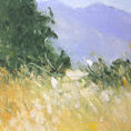 Paisaje del entorno de Moncofa — detalle