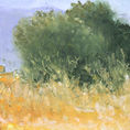 Paisaje del entorno de Moncofa — detalle