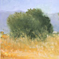 Paisaje del entorno de Moncofa — detalle