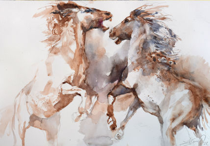 Wild horses