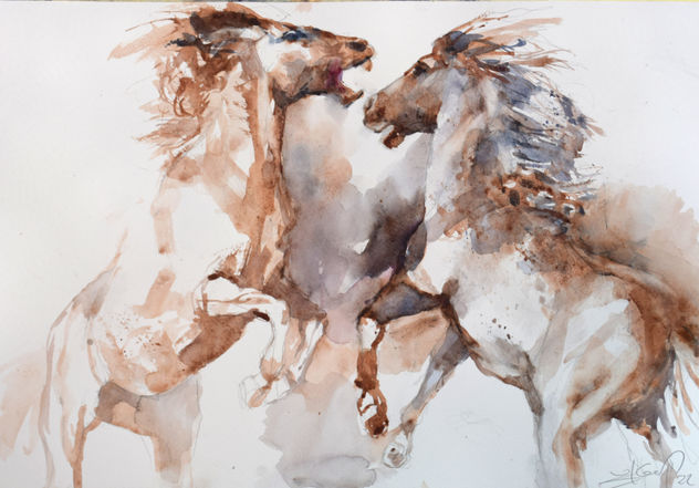 Wild horses