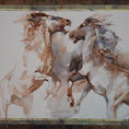 Wild horses — front