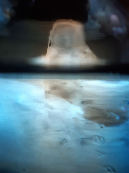 Iceberg
