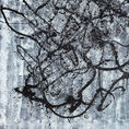 " Dripping Selection XXL" — detail