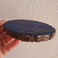 Pintura Rodaja Madera, Señales — detail