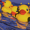 29 k PATITOS — frontal