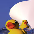 29 k PATITOS — frontal