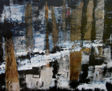 Bosque