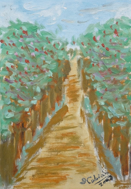 Camino rústico