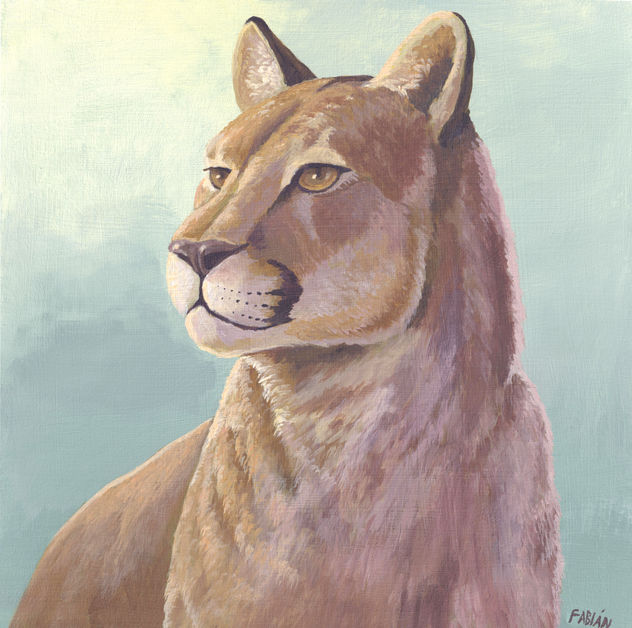 Puma