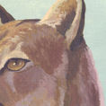 Puma — frontal