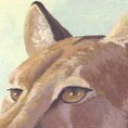 Puma — detalle