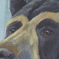 Oso de anteojos — detalle