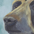 Oso de anteojos — detalle