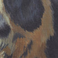 Oso de anteojos — detalle