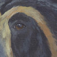 Oso de anteojos — detalle