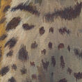 Margay — detalle