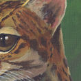 Margay — detalle