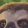 Perezoso de tres dedos — detalle