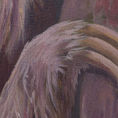 Perezoso de tres dedos — detalle