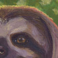 Perezoso de tres dedos — detalle