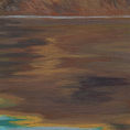 Chigüiro — detalle