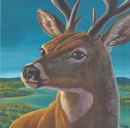 Venado de páramo