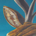 Venado de páramo — detalle