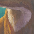 Venado de páramo — detalle