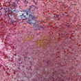 Cherry — frontal
