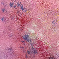 Cherry — frontal