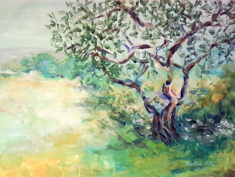 Olive tree