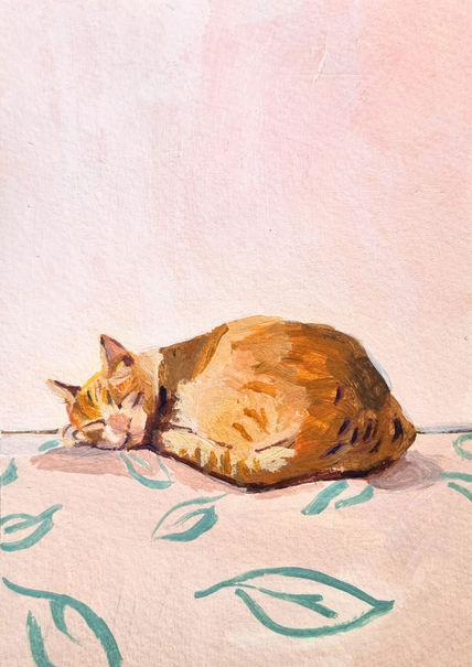 Tito de cat