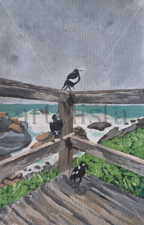 3 Magpies