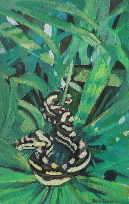 A python in my garden