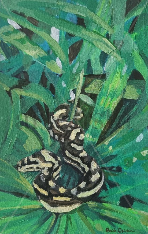 A python in my garden