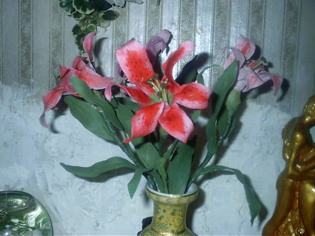 lilium
