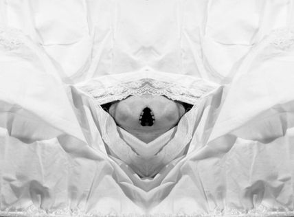 S/T. De la serie...