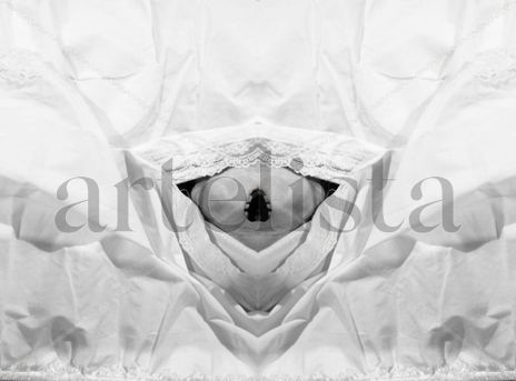 S/T. De la serie...