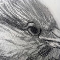 Huaco Juvenile Heron — front