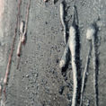 Conjugation — detail