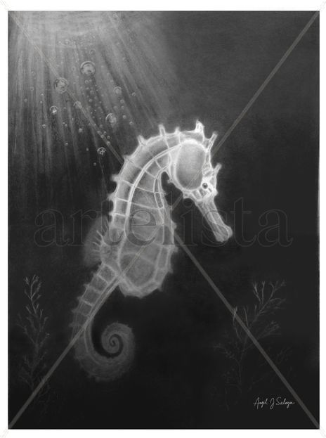 Ghost Seahorse