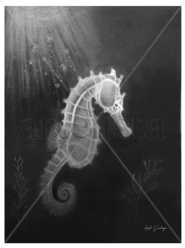 CaballIto de Mar Fantasma