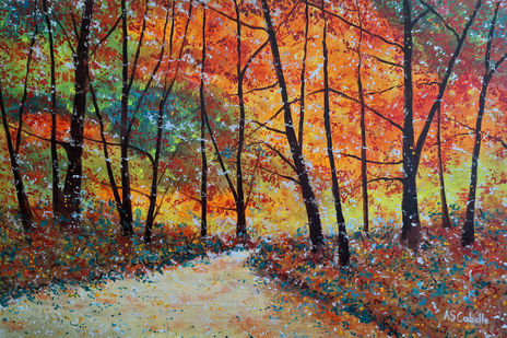 Camino en el bosque...