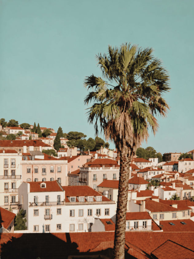 Lisbon Cityscape, Alfama Rooftops