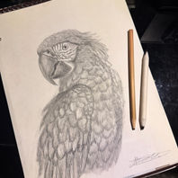 obra